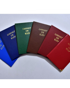 Coperta carnet de elev imitatie piele de diferite culori