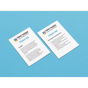 Flyer A6 (105 x 148 mm)