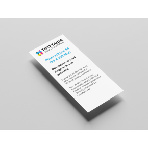Flyer DL - 1/3 din A4 (99 x 210 mm)