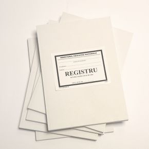 Registru de casa (format A4) 100 file